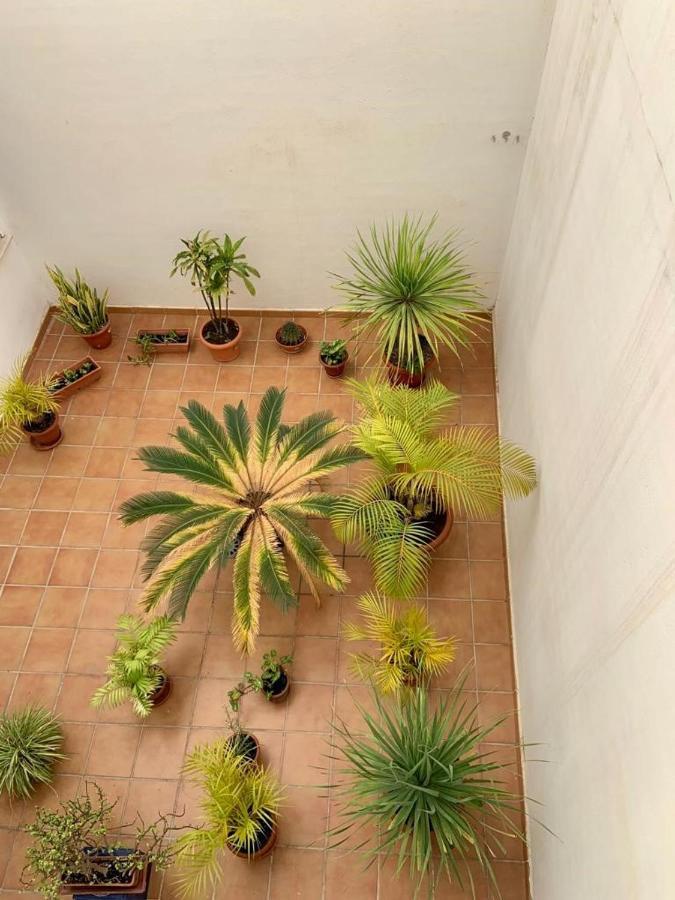 Apartamento En El Centro, Tranquilo Y Luminoso Μάλαγα Εξωτερικό φωτογραφία